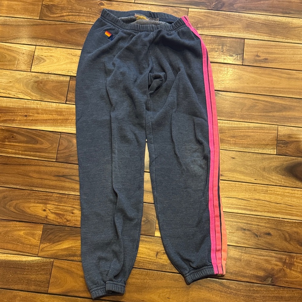 Aviator Nation Charcoal Joggers with Pink Stripe